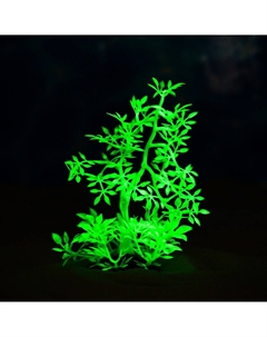Растение искусственное аквариумное, светящееся, 10 см, зеленое Пижон аква