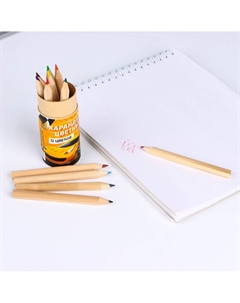 Набор цветных карандашей мини в тубусе Artfox