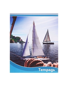 Набор тетрадей 48 листов в клетку Calligrata