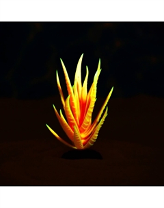 Растение для аквариума и террариума, светящееся, 10 см, красное Пижон аква