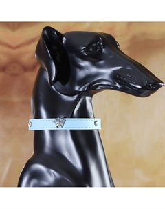 Ошейник Пижон