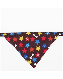 Ошейник с косынкой Пижон