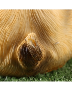 Фигурка Take it easy