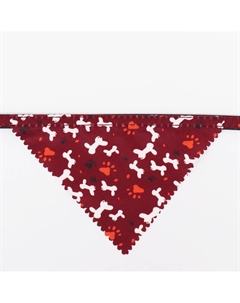 Ошейник с косынкой Пижон