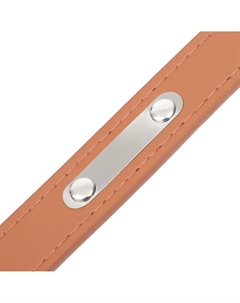 Ошейник из искусственной кожи с шильдом под гравировку, 52 х 2,5 см, ош 35-45 см, коричневый Пижон