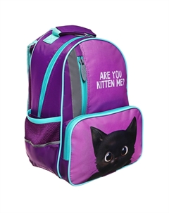 Рюкзак школьный, 37×26×13 см, эргономичная спинка Calligrata