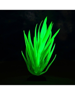 Растение искусственное аквариумное, светящееся, 20 см, зеленое Пижон аква
