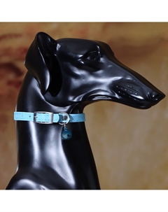 Ошейник Пижон