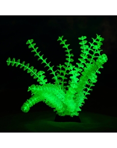 Растение искусственное аквариумное, светящееся, 18 см, зеленое Пижон аква