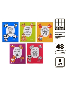 Комплект тетрадей из 5 штук, 48 листов в клетку Calligrata