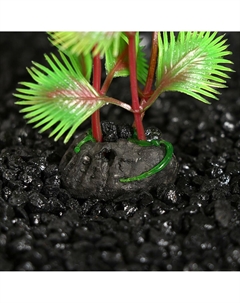 Набор растений искусственных аквариумных на подставке под камень (размер 1 шт 10х2,5х1,5 см) Пижон аква