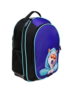 Рюкзак школьный, 37×27×16 см, эргономичная спинка Calligrata