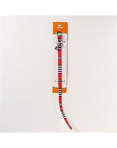 Ошейник Пижон