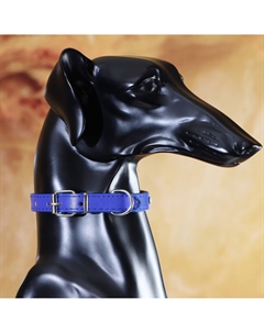 Ошейник Пижон