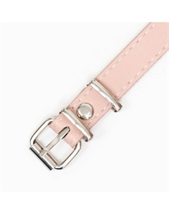 Намордник пластиковый №6 с ошейником из эко кожи ом 35 см дн 12 см ош 52-67 см Пижон