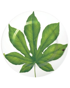 Блюдо сервировочное Freedom Калопанакс семилопастный Taitu