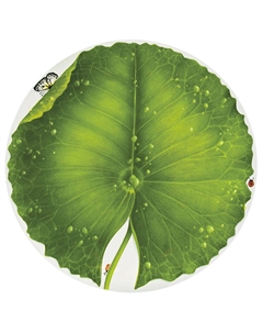 Блюдо сервировочное Freedom Щитолистник Taitu