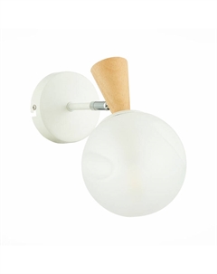 Бра Catania SLE220701-01 Evoluce