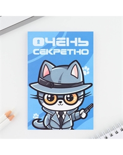 Подарочный набор, волшебная ручка и блокнот Artfox