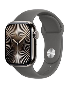 Смарт-часы Watch Series 10 A3001, 42мм, серый/титан Apple