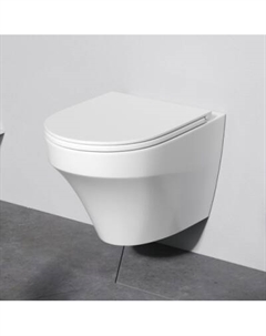 C501700WH Унитаз подвесной безободковый FlashClean, без сиденья Am.pm.