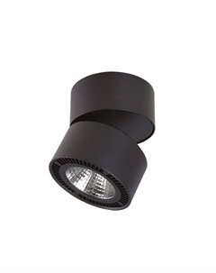 Спот Forte Lightstar