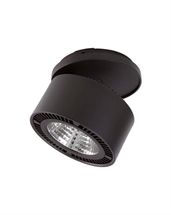 Спот Forte Lightstar