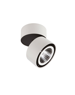 Спот Forte Lightstar