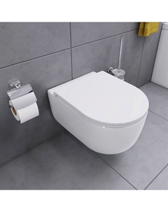 DX86C1700SC Унитаз подвесной безободковый, с сиденьем микролифт Damixa