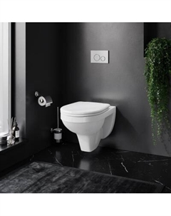 DX77C1738SC Унитаз подвесной с сиденьем микролифт Damixa