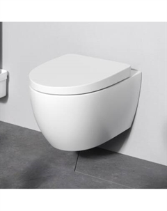 C111738WH Унитаз подвесной, без сиденья Am.pm.