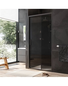 W90G-100-1-195BG Дверь душевая в нишу 100x195 см, раздвижная Am.pm.