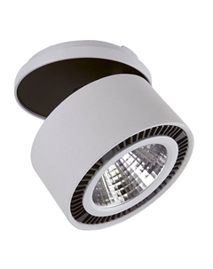 Спот Forte Lightstar