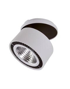 Спот Forte Lightstar