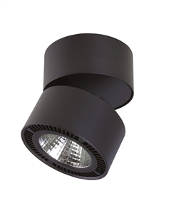 Спот Forte Lightstar