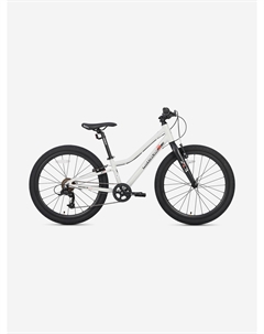 Велосипед детский 3BIKE 24'' L, серый, 2025, Серый Maxiscoo