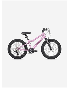 Велосипед детский 5BIKE 20'' L200, розовый сапфир, 2025, Розовый Maxiscoo