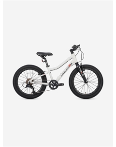 Велосипед детский 3BIKE 20'' L, серый, 2025, Серый Maxiscoo