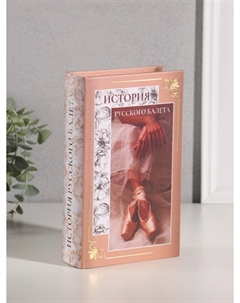 Шкатулка книга-сейф Nobrand