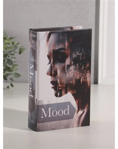 Шкатулка книга-сейф Nobrand