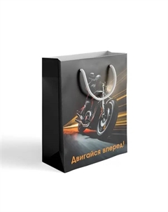 Пакет подарочный «Двигайся вперед» 30x40 см цвет разноцветный Симфония