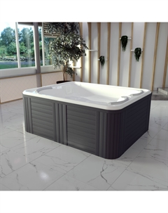 Мини-бассейн Делюкс Platinum 210х165 1-30-0-0-5-053Б с гидро- и аэромассажем, белый Radomir