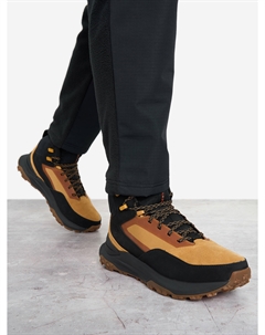 Ботинки мужские Motion Access, Коричневый Timberland