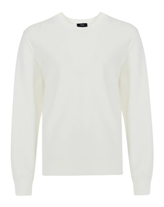 Джемпер Theory