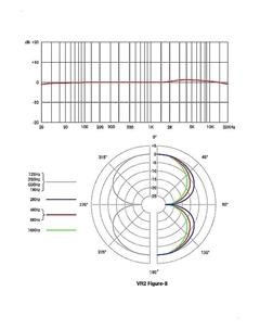 Микрофон sE Electronics Voodoo VR2 Active Ribbon Microphone Se electronics