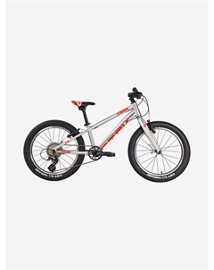 Велосипед подростковый Geek 20, Серый Stark