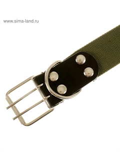 Ошейник брезентовый однослойный, 84 х 4.5 см, ош 50-70 см, хаки Пижон