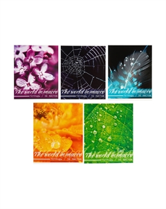 Комплект тетрадей из 5 штук, 36 листов в клетку Calligrata