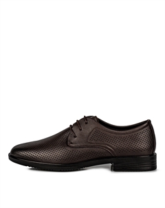 Дерби Salamander