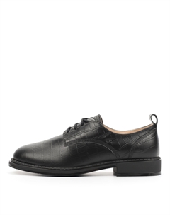 Дерби Salamander